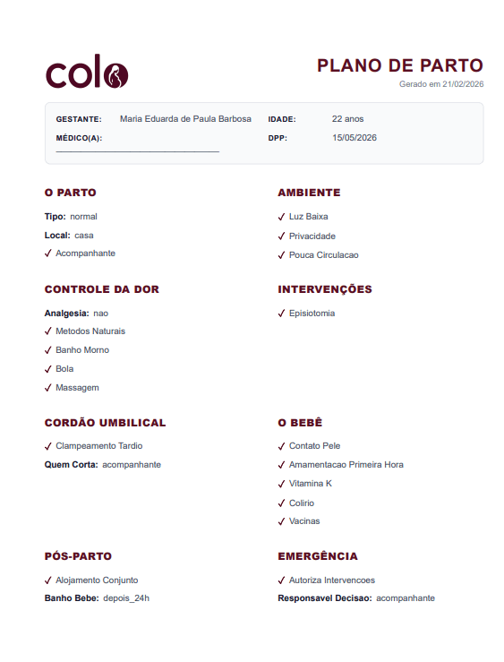 Ilustração de um documento de plano de parto digital no app Colo